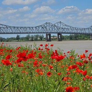 Meet your Posher, Posh